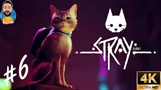 Stray Türkçe Bölüm 6