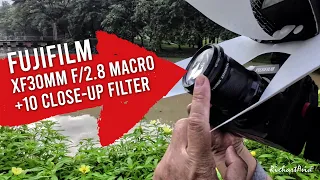 OMG! it works FUJIFILM XH2 XF30mm Macro +10 Close-up Filter