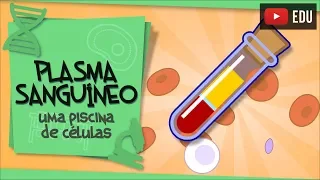 Plasma Sanguíneo - onde nadam as células do sangue