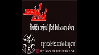 Acid Evil Multidimensional Past (Full album Official Stream)