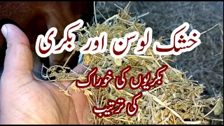 Alfalfa Hay and Goats || Goat Feed || Daily Feeding Routine of Goats