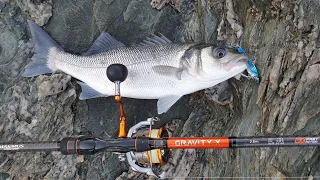 pêche à la lame vibrante aliexpress en mer du bord