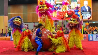 The Ancient Northern Lion Dance