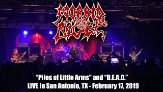 Morbid Angel "Piles of Little Arms" and "D.E.A.D." live in San Antonio, TX - 2/17/2019