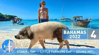 Swimming Pigs Bahamas & David Copperfield Island | Bahamas 2022 (part 4 of 8) [4K]