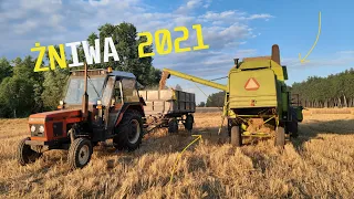 Żniwa 2021 || Owies ||  Akcja na całego  🔥 Claas Mercator 70 🔥 /Zetor