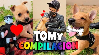 🥹 El RESCATE de TOMY 🐶 COMPILACION (Completa) 💖 #tomy #rescate #perritos #funny #humor #cute #love