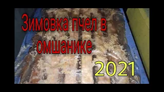 Занесли пчёл в омшаник, зимовка 2021-2022 началась