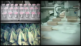 HOW DO THEY DO IT DONE | INSIDE THE FACTORY | HÄAGEN DAZS ICE CREAM MAKING MACHINES
