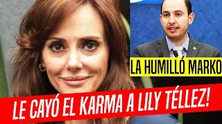 ¡LE CAYÓ EL KARMA! PAN TRAICIONA A LILY TÉLLEZ Y ¡LE NIEGAN CANDIDATURA!