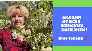 АКАЦИЯ ! Здоровье женщины !