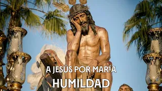 A Jesús por María | Humildad Mairena 2023 | Virgen de los Reyes