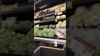 Broccoli rotation