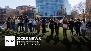 Northeastern protestors doing "as much as we can" to avoid arrests for pro-Palestinian encampment