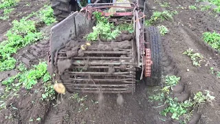 Potato Digger for Hand Harvesting