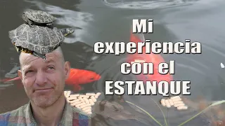 ¿Estanque en el jardín? Mi experiencia.