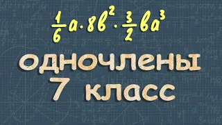 ОДНОЧЛЕНЫ | 7 класс Макарычев решение 458 и 469 | умножение одночленов