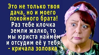 – Это НЕ только ТВОЯ дача, и мы ОТСУДИМ её у тебя, в память о покойном брате! – кричала золовка