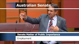 Senate Matters of Public Importance - Employment