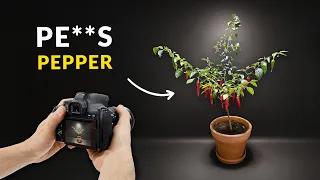 800 days in 8 minutes - GROWING PLANTS TIME-LAPSE COMPILATION