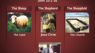 The Sheep The Shepherd and the Sheepfold part 1