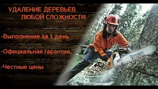услуги по спилу спилить-деревьев-кронування дерев Киев Борисполь
