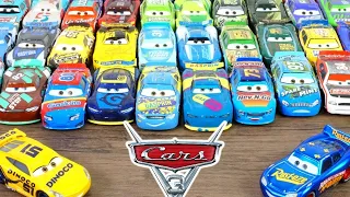 Disney Cars Collection of Veterans and Next Gen Florida 500 racers