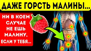 Даже горсть малины вызывает необратимые процессы в организме! Польза и вред малины для здоровья!