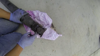 Toyota u-joint replace