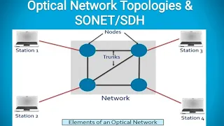 Optical Network Topologies and SONET/SDH