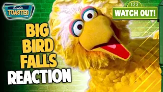 BIG BIRD FALLS OFF STAGE REACTION | Double Toasted