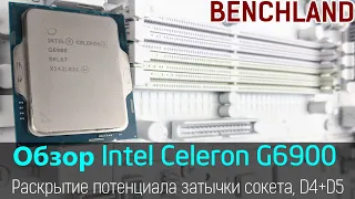 Сокетная Затычка Освобожденная - Intel Celeron G6900. Обзор, тест, разгон до 5.4 ГГц, DDR4 и DDR5