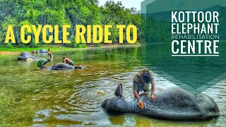 Kottoor Elephant Rehabilitation Centre Cycle Ride | Kappukadu | Must Visit in Trivandrum