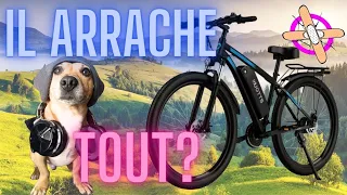 Le plus puissant des VTT pas cher cousin (Duotts C29 new)