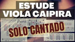 Aula Viola Caipira Boiadeiro Errante Solo Instrumental
