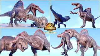 Spinosaurus VS All Dinosaurs Fighting & Killing Animations 🦖 Jurassic World Evolution 2