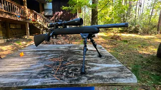 Savage Mark 2 FV-SR (Ultimate squirrel rifle)