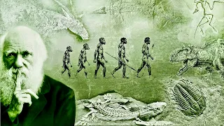 Evolution - What Darwin Never Knew - NOVA Full Documentary HD
