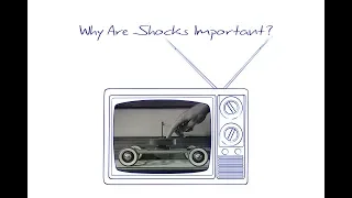 Why Shocks Matter