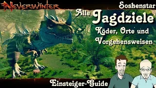 NEVERWINTER: Alle Jagdziele Soshenstar -1-2-3 Sterne Jagd Guide- Anfänger Tutorial Tipp PS4 deutsch