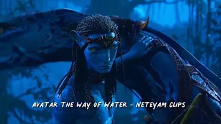 Avatar the way of water - Neteyam clips in 4k HD without the twixtor (requested)