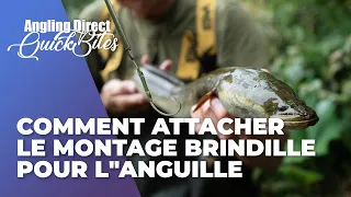 Comment attacher le montage brindille pour l"anguille - Quickbite de la pêche spécialisée