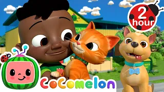 Taking Care of Cute Pets! | Animals for Kids | Funny Cartoons | Learn about Animals