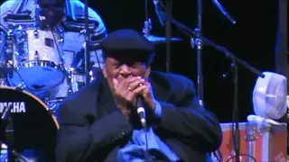 James Cotton live at Dutch Mason Blues Festival