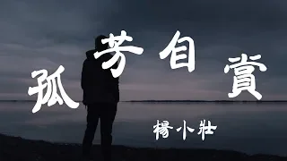 孤芳自賞 - 楊小壯 - 『超高无损音質』【動態歌詞Lyrics】