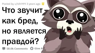 РЕАЛЬНЫЕ ФАКТЫ, КОТОРЫЕ ЗВУЧАТ КАК ЛОЖЬ