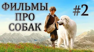 Фильмы про собак (2 часть)