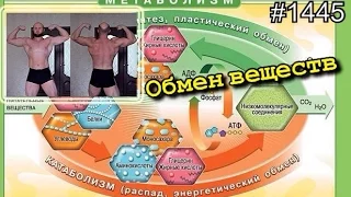 Обмен веществ.  Метаболизм ускоренный или замедленный.  Суше с каждым днем! Тайм коды в описании