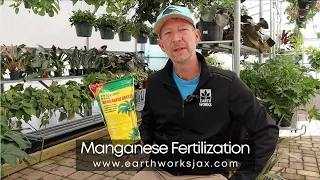 Manganese Palm Fertilization