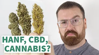 Was ist der UNTERSCHIED zwischen NUTZHANF, CBD-Gras und CANNABIS?